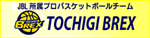 JBLvoXPbg{[`[ENȖ؃ubNX^LINK TOCHIGI BREX